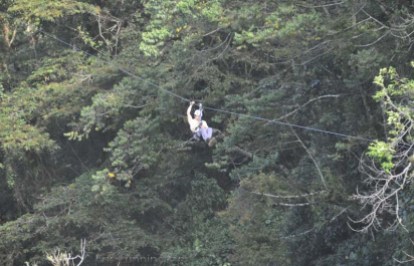 A guy comes in for a landing on the zip line.