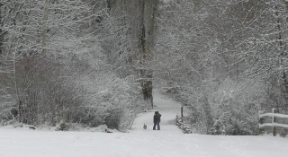 A couple shares a moment while walking their dog.