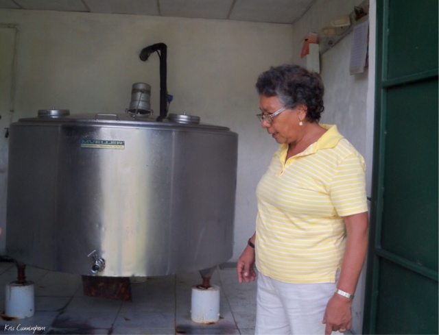 Cedo checks the milk storage tank at her farm.