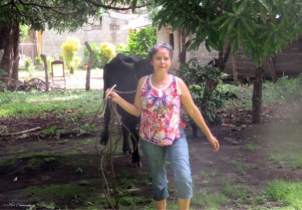 The Nicaraguan neighbor leads her cow Princessa to our yard to graze. This cow provides important milk and calves for her family.