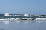 More waves and pelicans