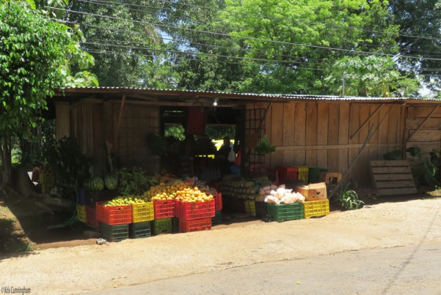 It is handy to pull up to the back of the market because it's easy to park back there. Here you can see watermelons, lemons, oranges, more plantains, papayas, pineapples, and some ginger root.  
