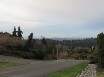 There is a spot on our walk where we could see downtown Seattle. I didn't even look at the trees on the left until I sorted through these photos. They look like some sort of tree witches or goblins!