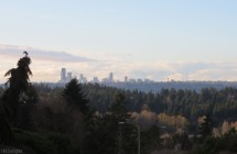 there is a spot on our walk where we can see Seattle and the mountains in the distance